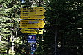 DSC07294 - Bernhard Saalfeld