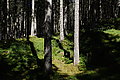 DSC07295 - Bernhard Saalfeld