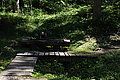 DSC07297 - Bernhard Saalfeld