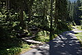 DSC07298 - Bernhard Saalfeld