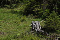 DSC07301 - Bernhard Saalfeld