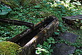 DSC07309 - Bernhard Saalfeld