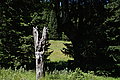 DSC07328 - Bernhard Saalfeld