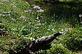 DSC07338 - Bernhard Saalfeld