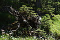DSC07339 - Bernhard Saalfeld
