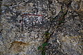 DSC07345 - Bernhard Saalfeld