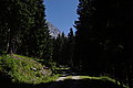 DSC07346 - Bernhard Saalfeld