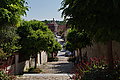 DSC07390 - Bernhard Saalfeld