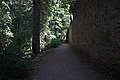 DSC07392 - Bernhard Saalfeld