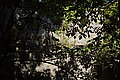 DSC07397 - Bernhard Saalfeld