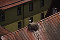 DSC07480 - Bernhard Saalfeld