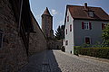 DSC07556 - Bernhard Saalfeld