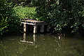 DSC07569 - Bernhard Saalfeld