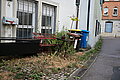 L1004298 - Bernhard Saalfeld
