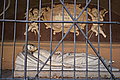 L1004436 - Bernhard Saalfeld