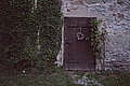 L1004487 - Bernhard Saalfeld