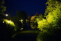 L1004506 - Bernhard Saalfeld