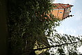 L1004527 - Bernhard Saalfeld