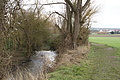 DSC00680 - Bernhard Saalfeld