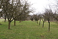 DSC00683 - Bernhard Saalfeld