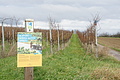 DSC00687 - Bernhard Saalfeld