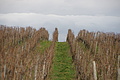 DSC00688 - Bernhard Saalfeld