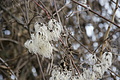 DSC00690 - Bernhard Saalfeld