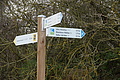 DSC00692 - Bernhard Saalfeld