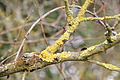 DSC00694 - Bernhard Saalfeld