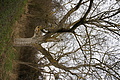 DSC00695 - Bernhard Saalfeld