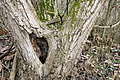 DSC00698 - Bernhard Saalfeld