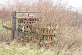 DSC00699 - Bernhard Saalfeld
