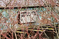 DSC00701 - Bernhard Saalfeld