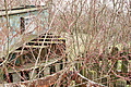 DSC00702 - Bernhard Saalfeld