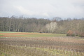 DSC00704 - Bernhard Saalfeld