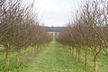 DSC00706 - Bernhard Saalfeld