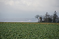 DSC00711 - Bernhard Saalfeld