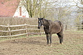 DSC00714 - Bernhard Saalfeld