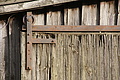 DSC00719 - Bernhard Saalfeld