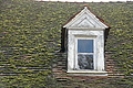 DSC00725 - Bernhard Saalfeld