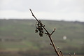 DSC00740 - Bernhard Saalfeld