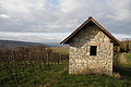 DSC00753 - Bernhard Saalfeld