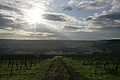 DSC00755 - Bernhard Saalfeld