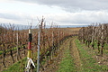 DSC00763 - Bernhard Saalfeld