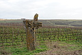 DSC00765 - Bernhard Saalfeld
