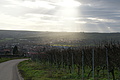 DSC00768 - Bernhard Saalfeld