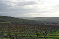DSC00769 - Bernhard Saalfeld