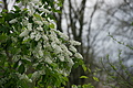 DSC02517 - Bernhard Saalfeld