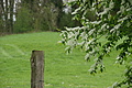 DSC02518 - Bernhard Saalfeld