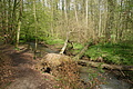 DSC02522 - Bernhard Saalfeld
